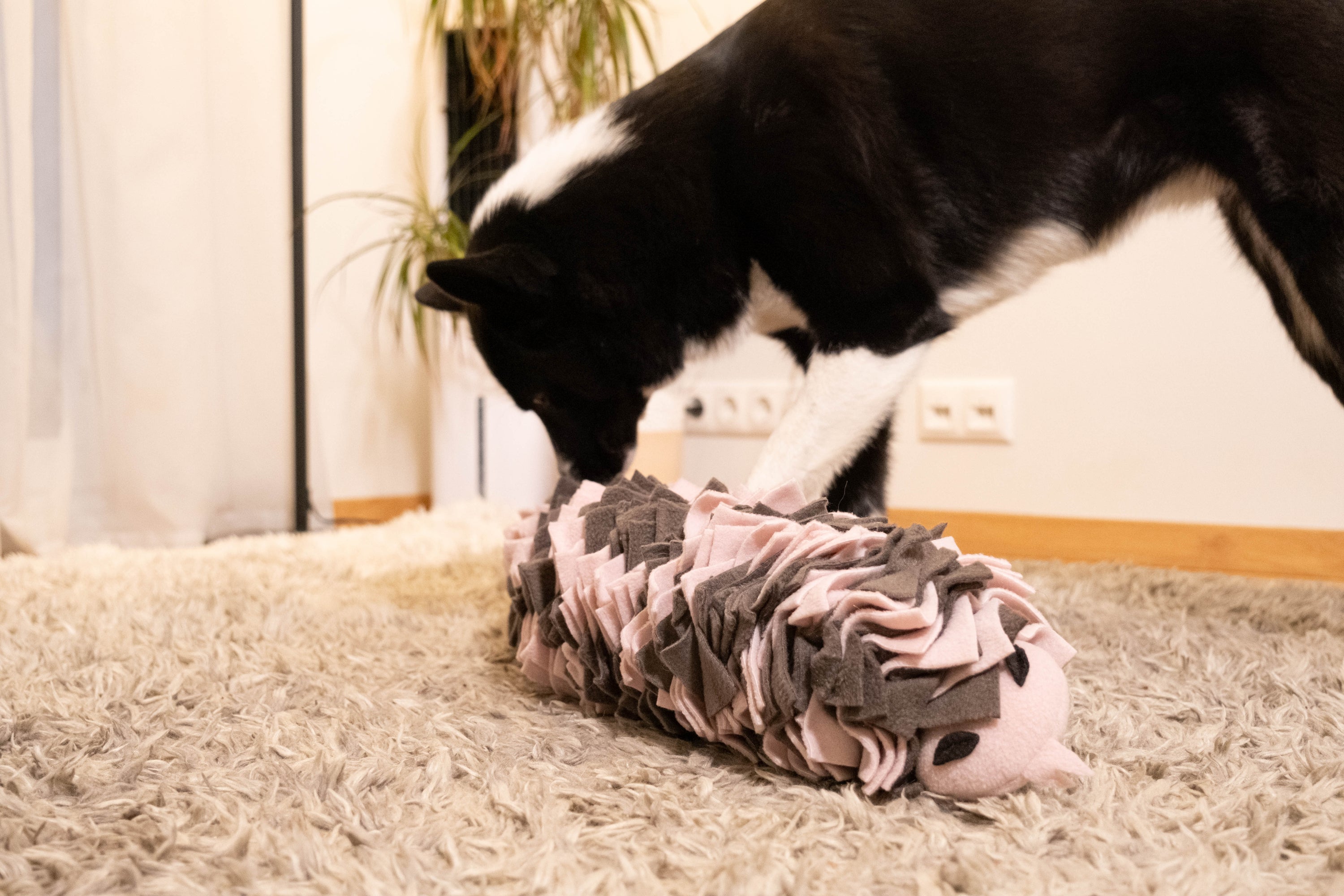How to Choose the Right Sniffing Toy for Your Dog