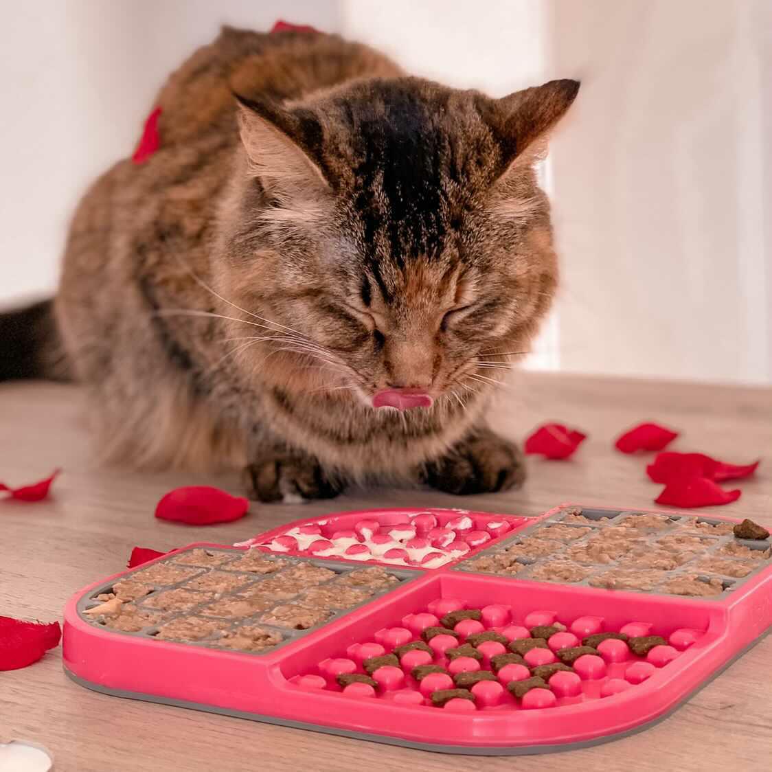 LickiMat Slomo for Cats – Dual Slow Feeder Lick Mat - The Woof Toys