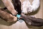 LickiMat Slomo for Cats – Dual Slow Feeder Lick Mat - The Woof Toys