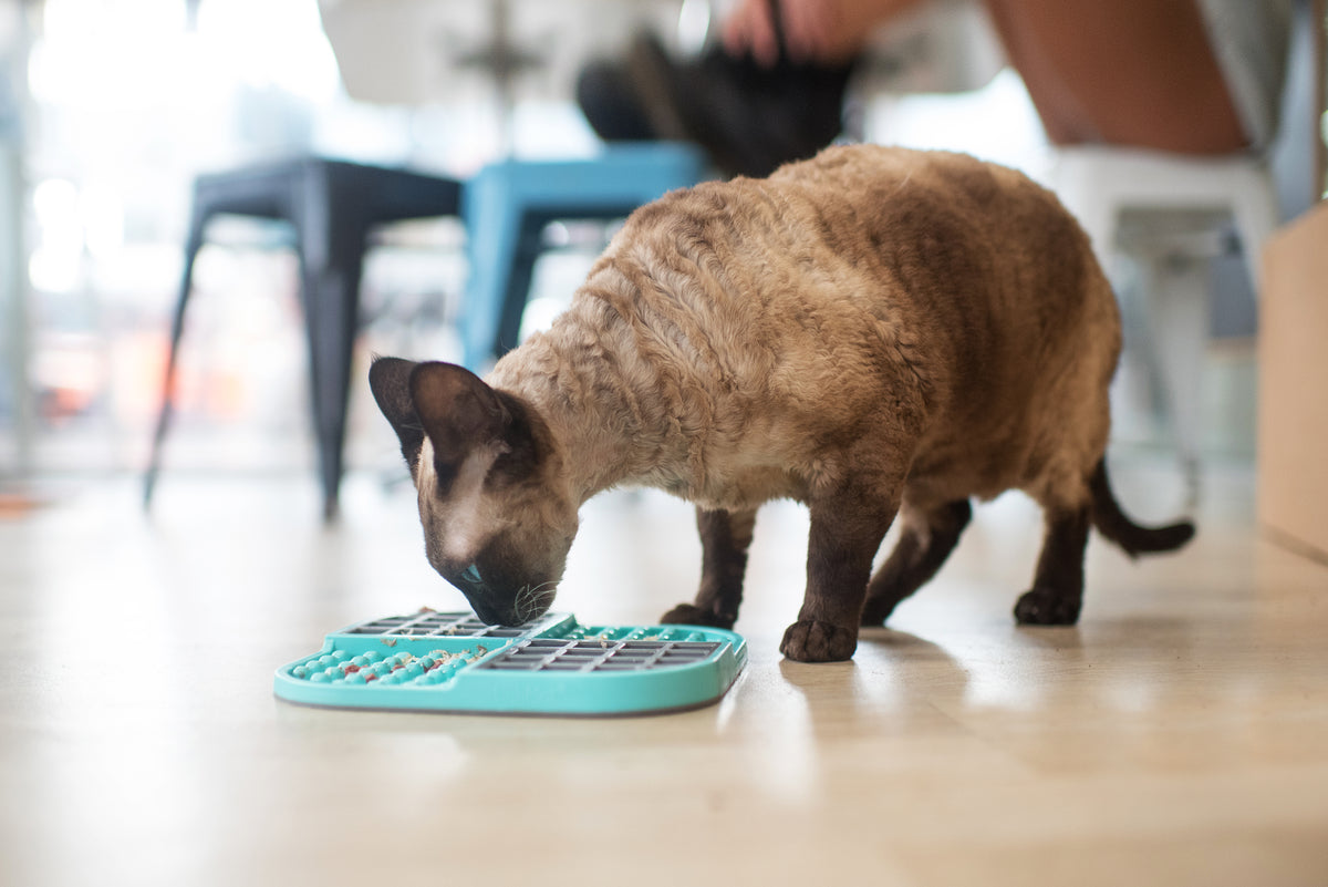LickiMat Slomo for Cats – Dual Slow Feeder Lick Mat - The Woof Toys