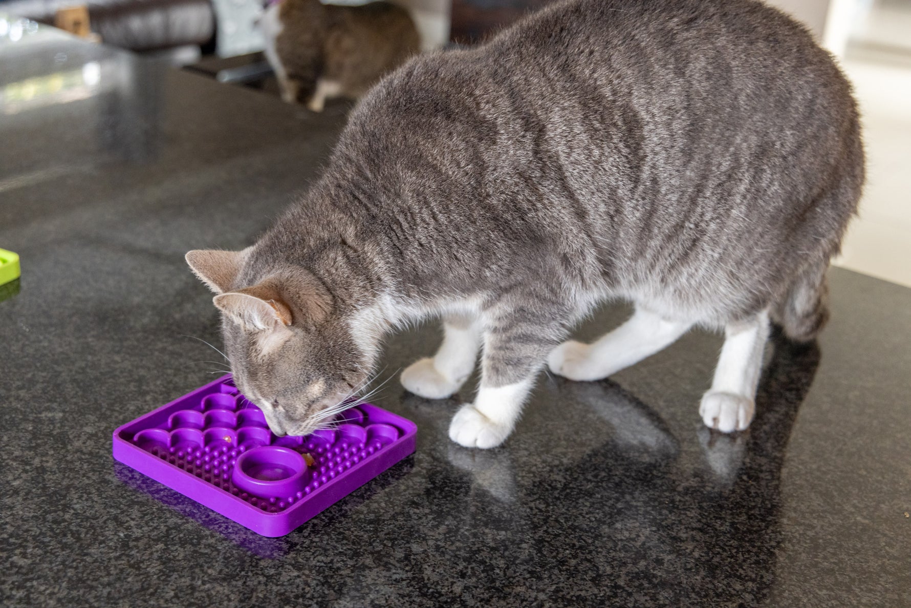 LickiMat Classic Catster - The Woof Toys