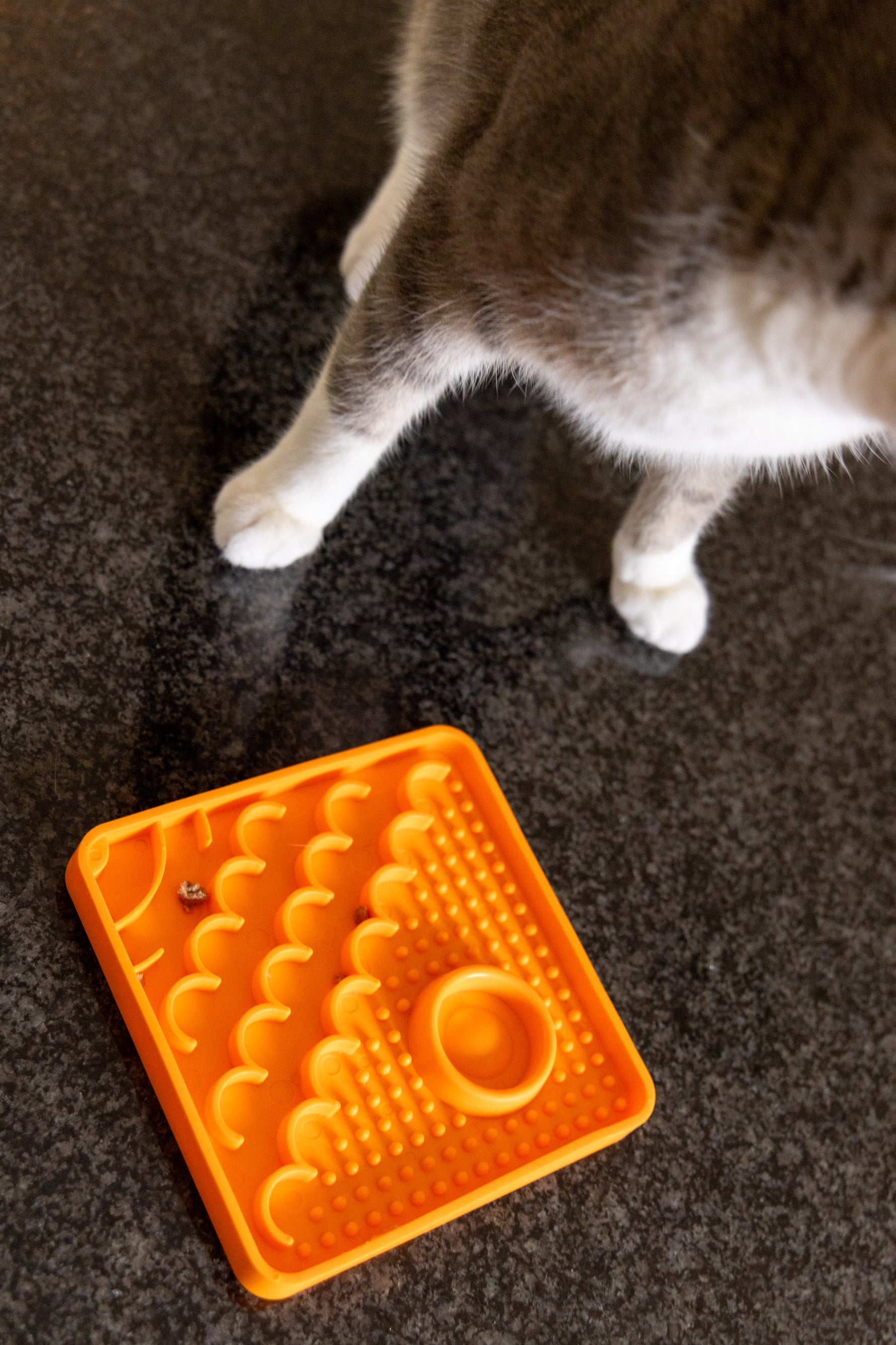 LickiMat Classic Catster - The Woof Toys