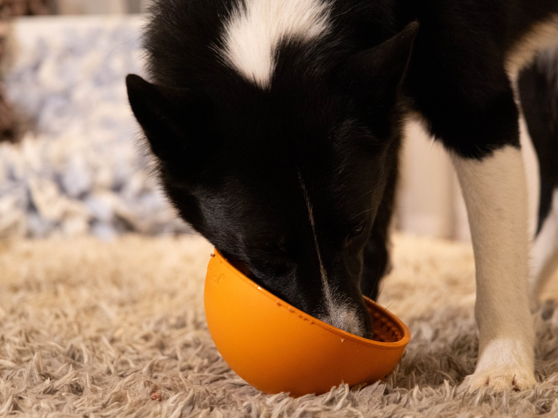 LickiMat Wobble - The Woof Toys