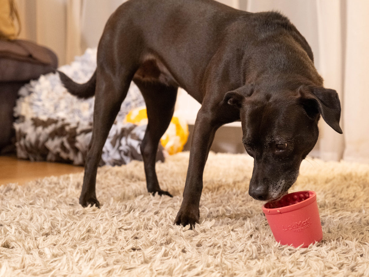 LickiMat Yoggie Pot - The Woof Toys