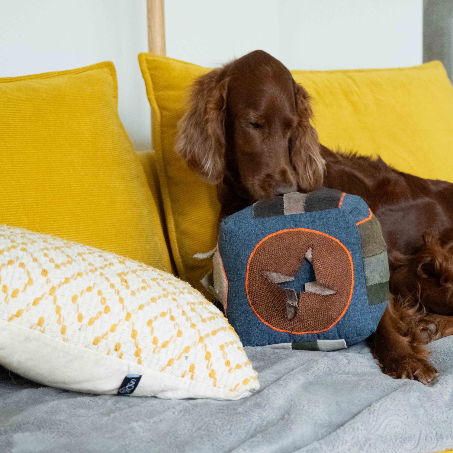 Interactive Cube - The Woof Toys
