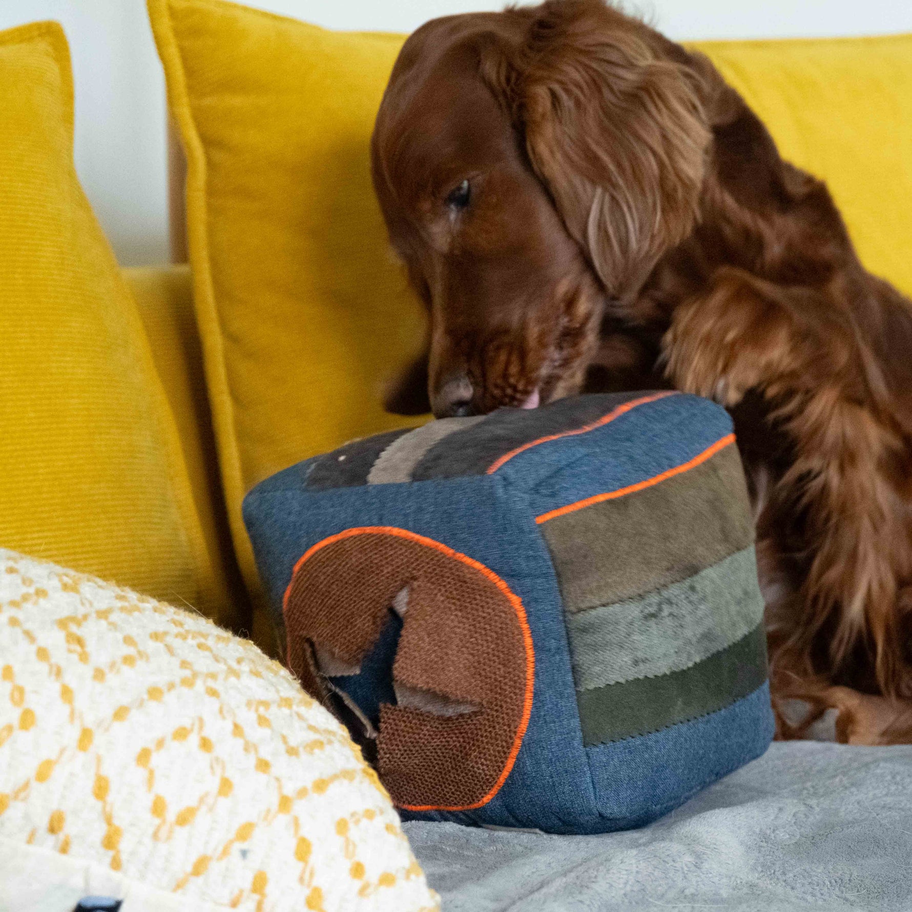 Interactive Cube - The Woof Toys