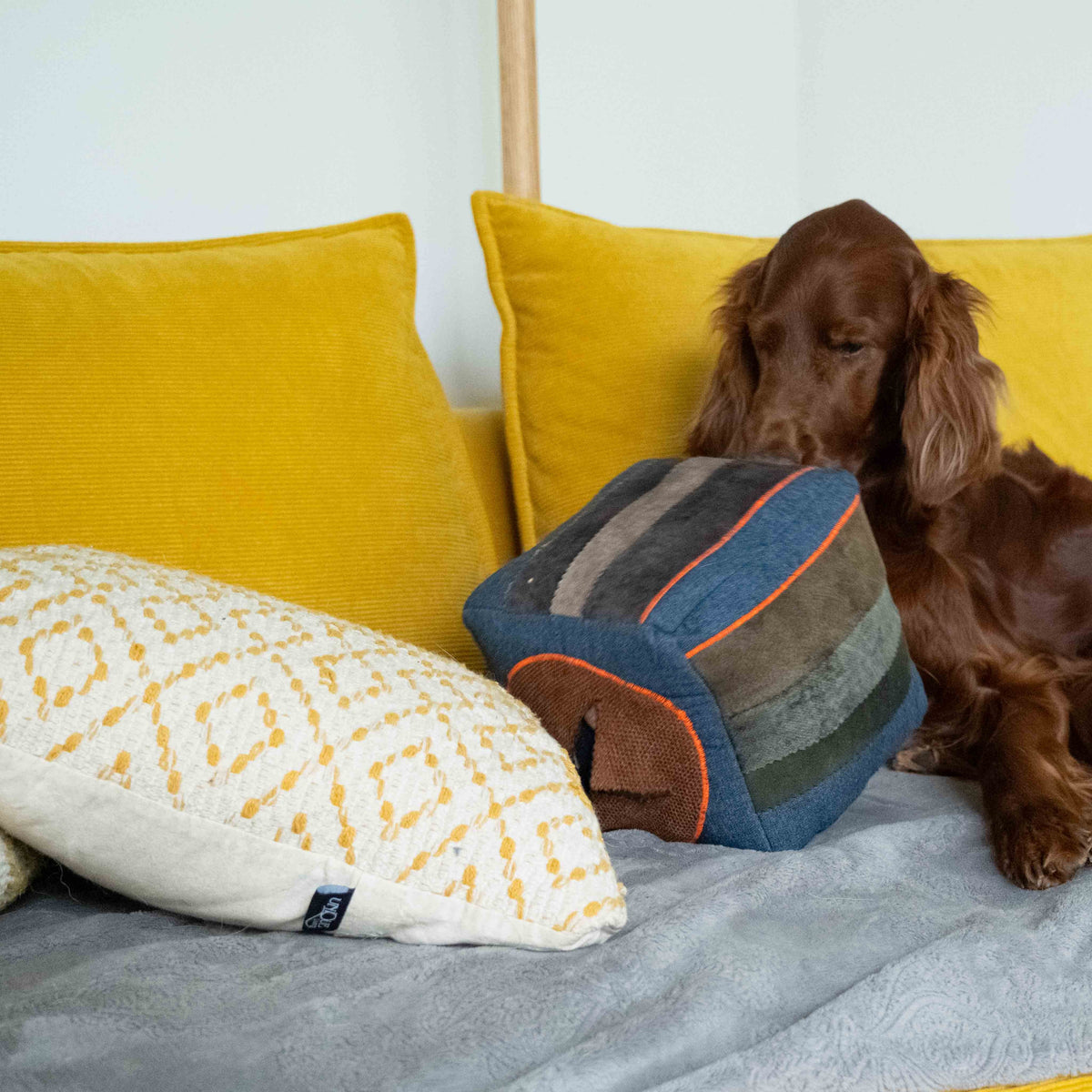 Interactive Cube - The Woof Toys