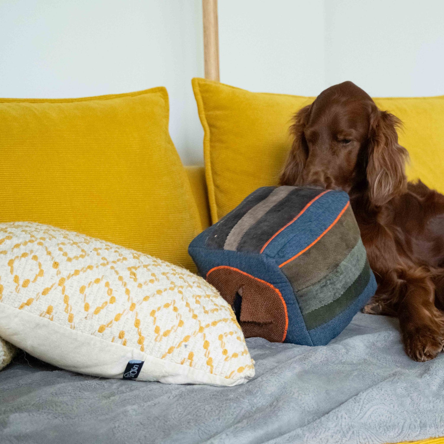Interactive Cube - The Woof Toys