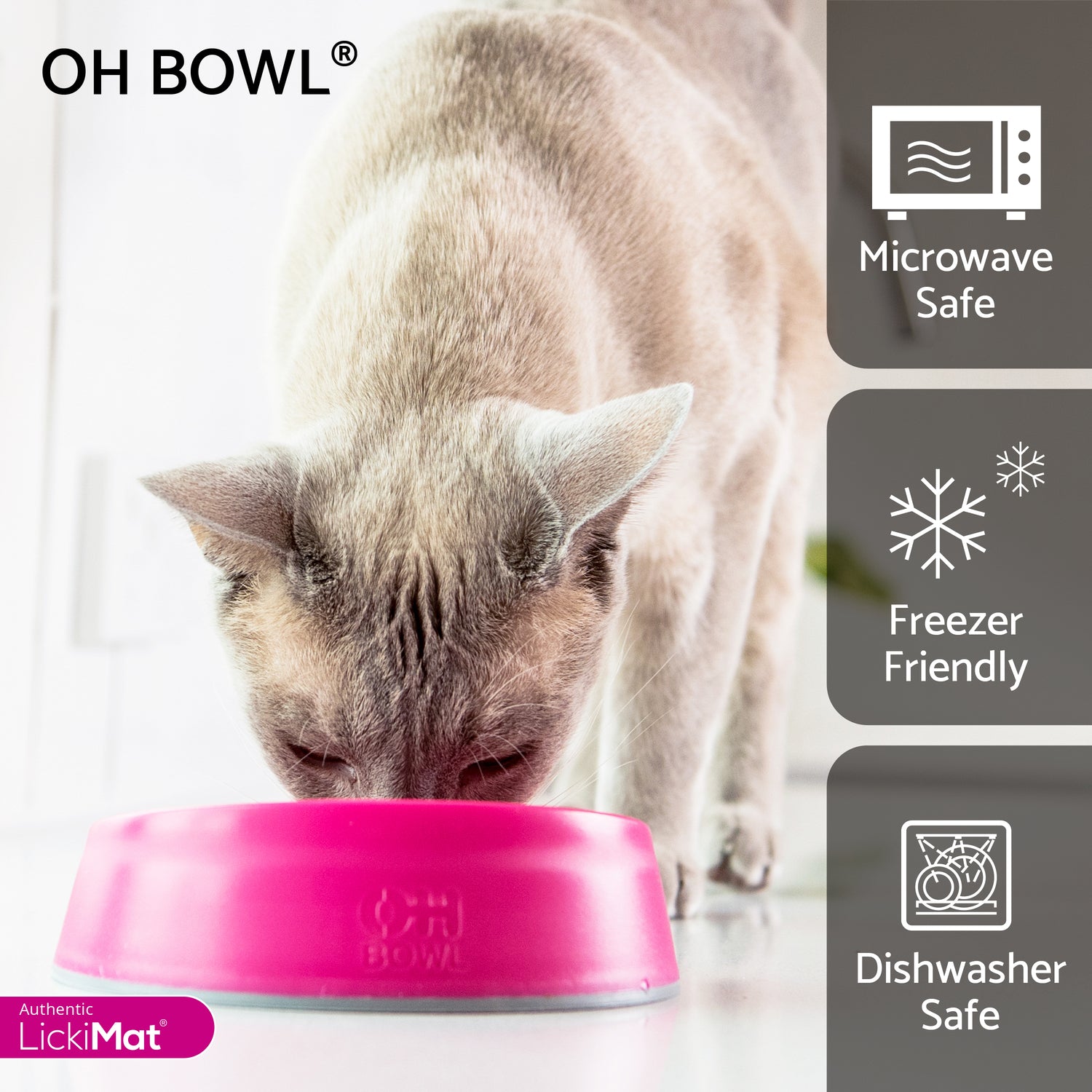 Cat eating from a pink OH BOWL, with features highlighted on the right.