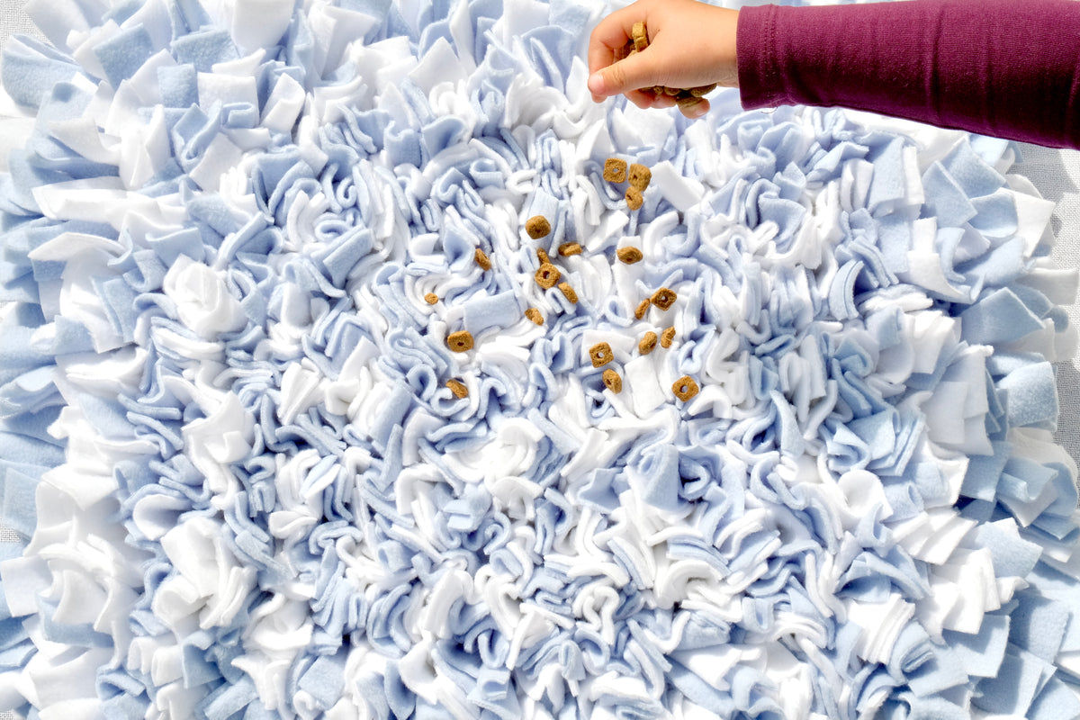 Dog enrichment mat encouraging natural sniffing and foraging