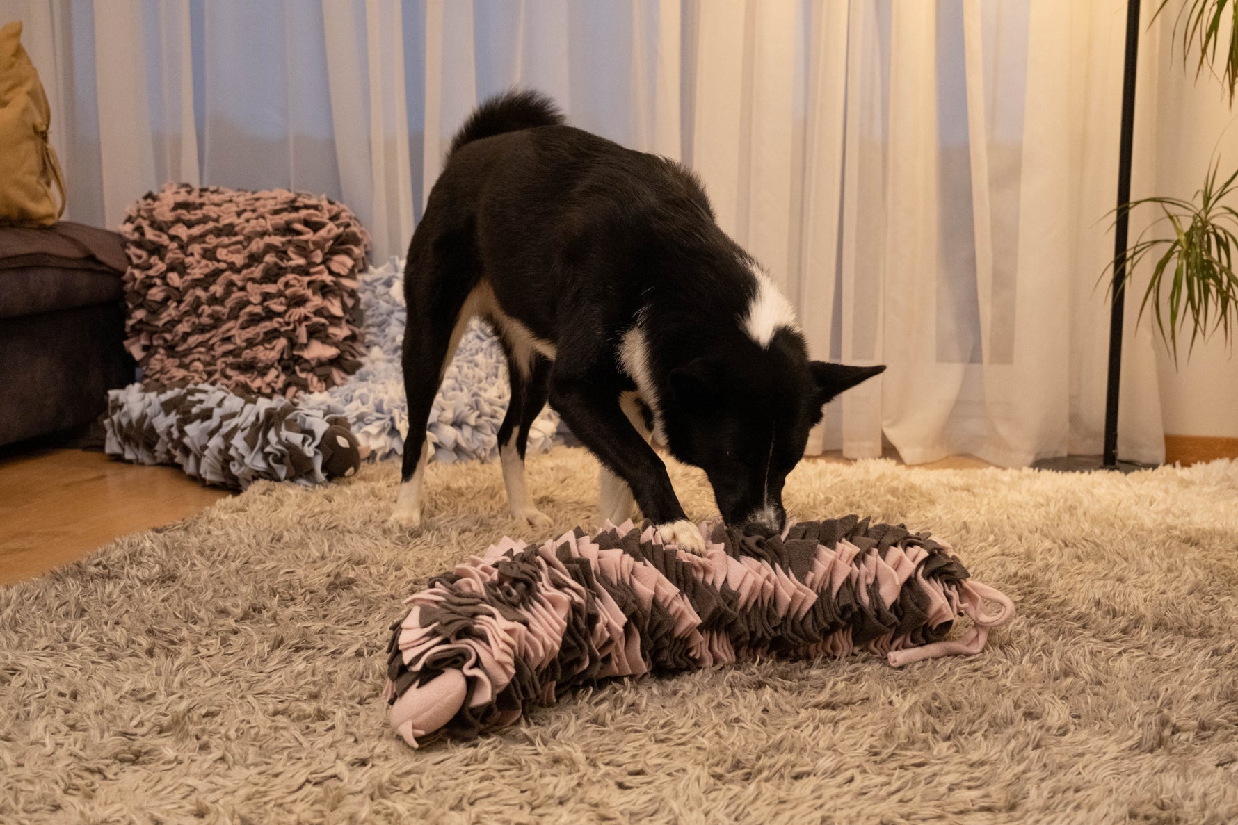 Dog enrichment toy promoting natural foraging instincts