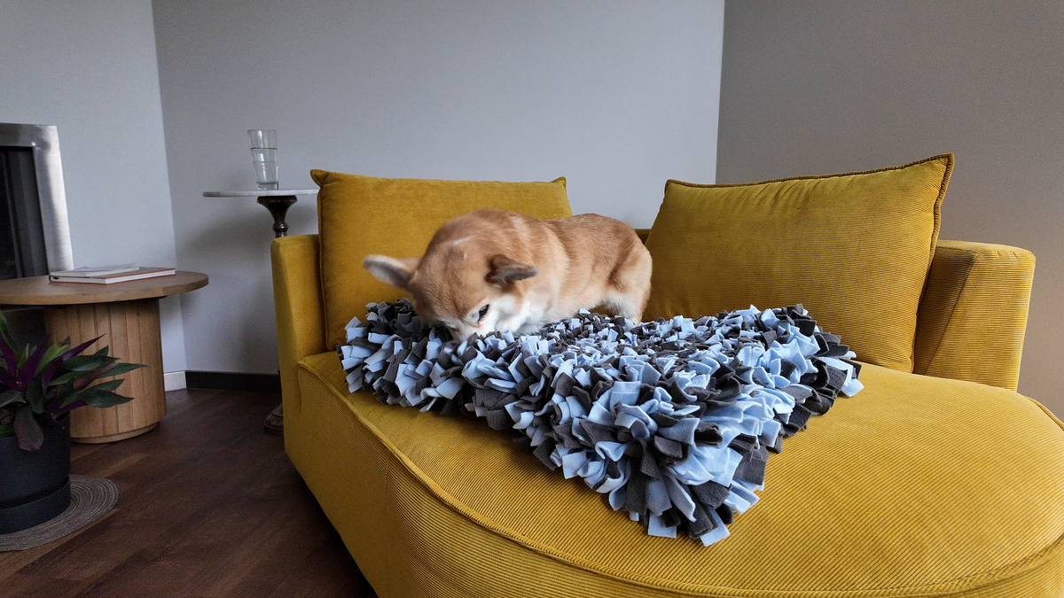 Dog using Sniffing Mat Dark Blue for slow feeding and enrichment