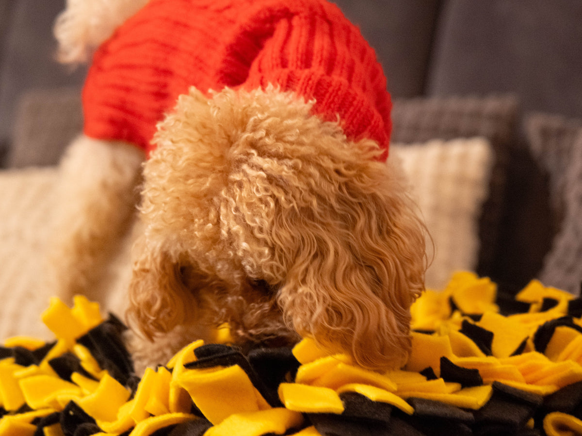 Dog enjoying a handcrafted Sniffing Mat for slow feeding and mental enrichment.