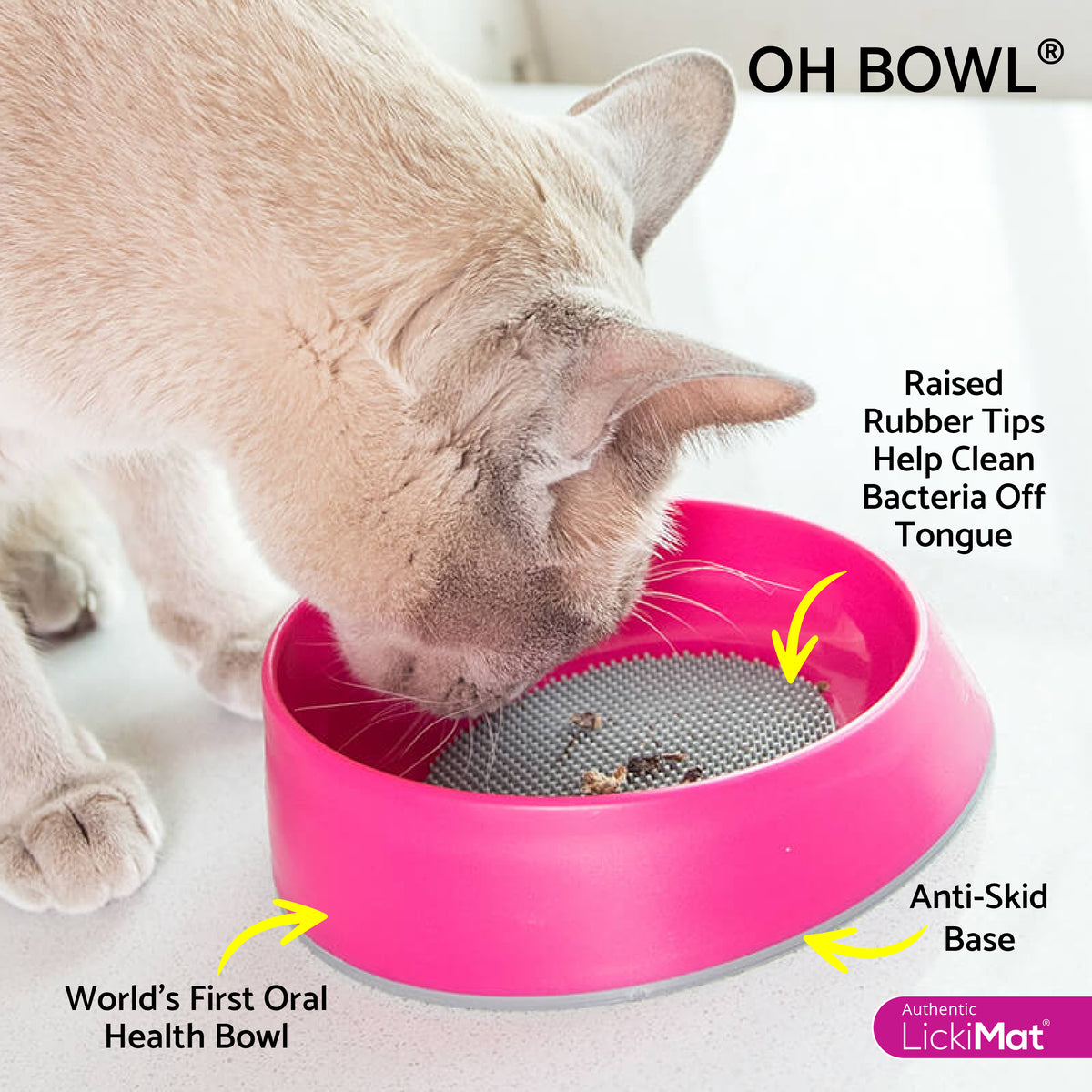 Cat using a pink 'OH BOWL' 