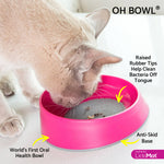 Cat using a pink 'OH BOWL' 