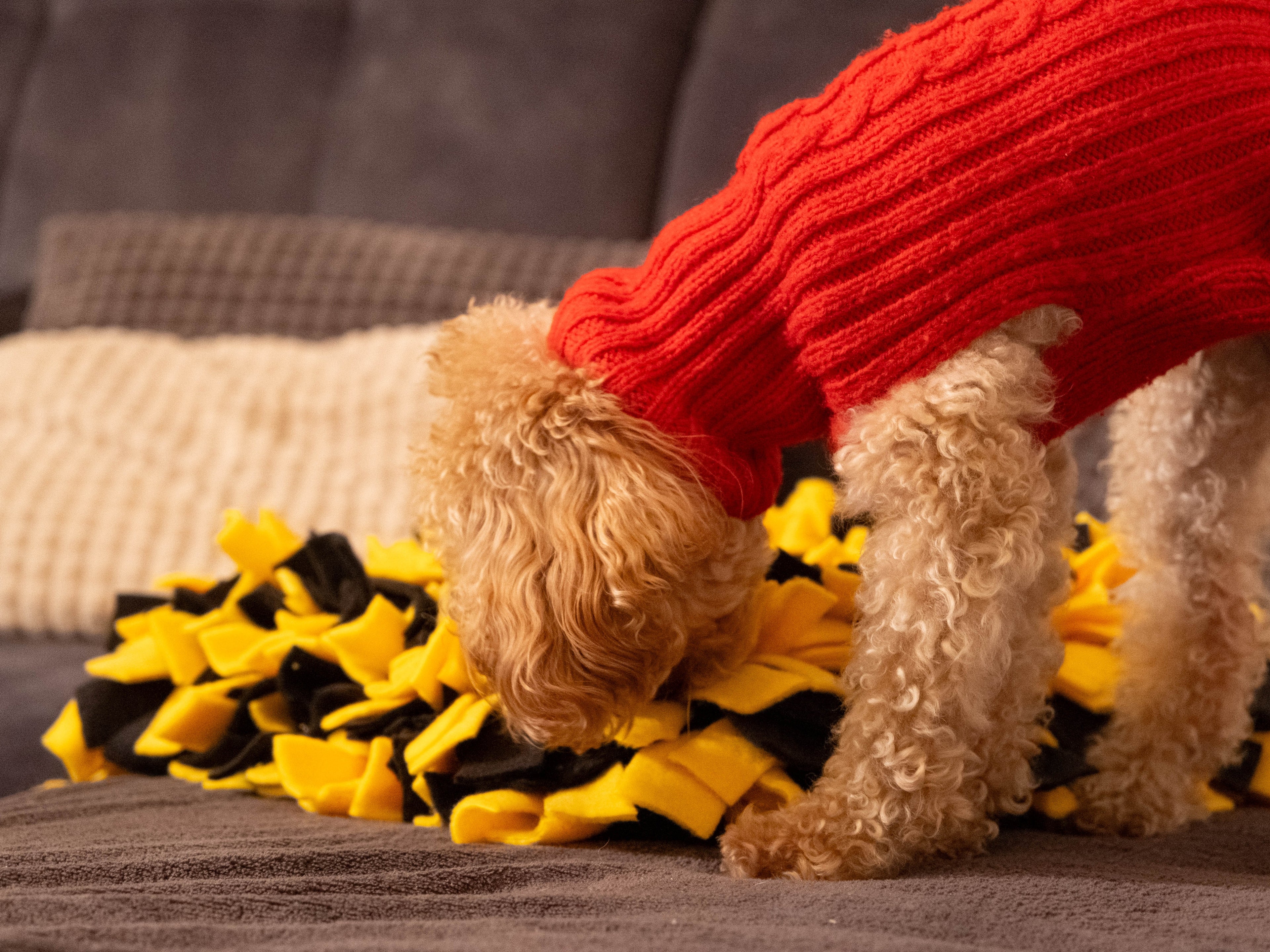 Puppy exploring Sniffing Mat with hidden treats for enrichment play.
