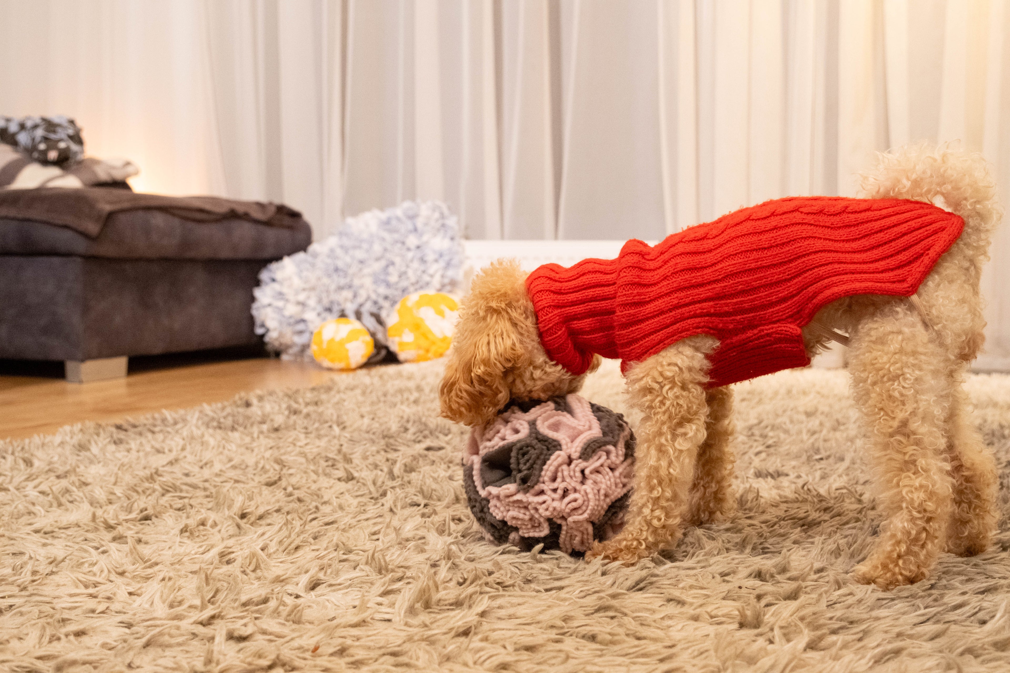 Dog playing with Sniffing Ball Dark Pink for mental stimulation