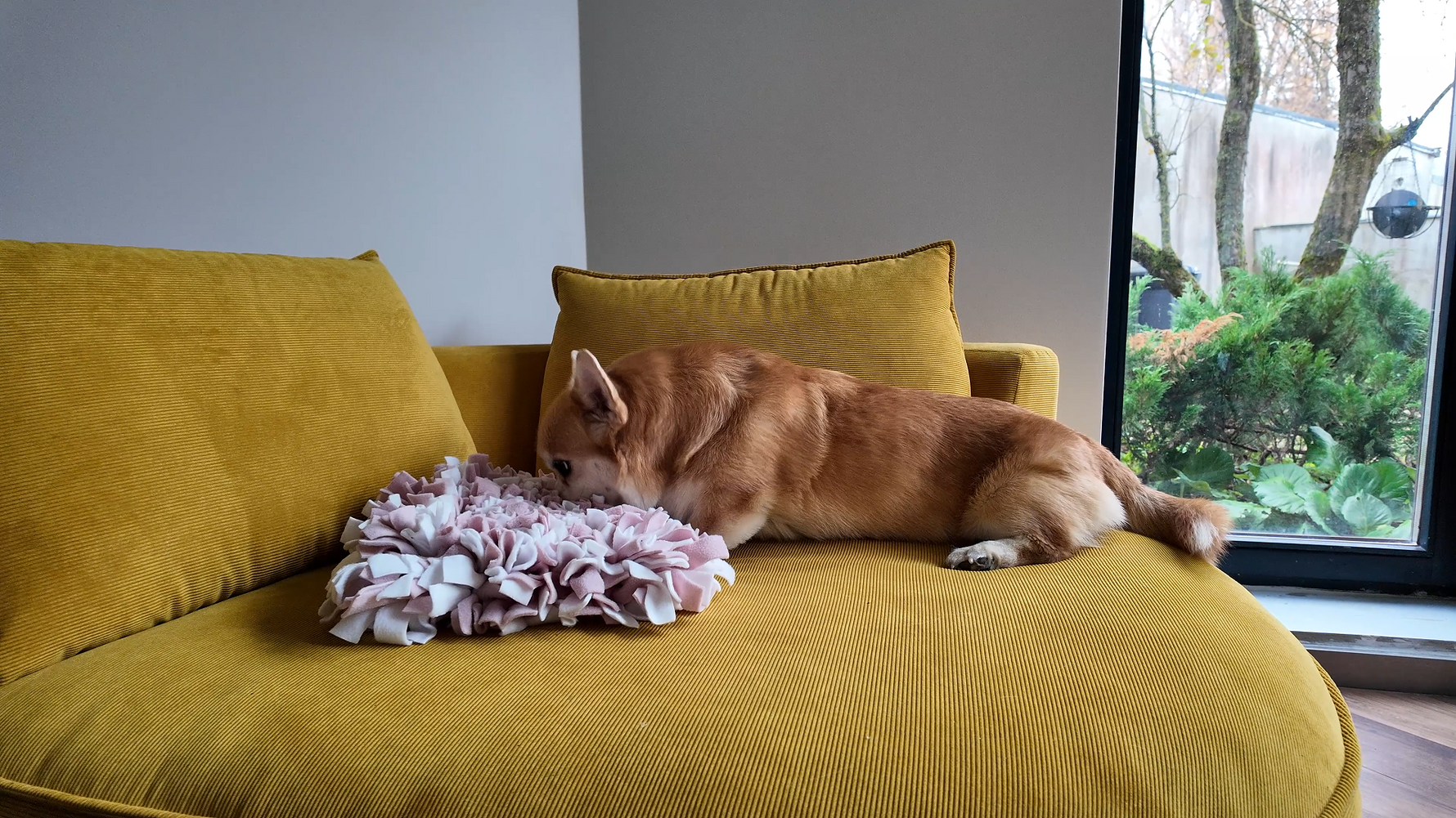 Korgi Dog sniffing treats from Sniffing Mat Light Pink