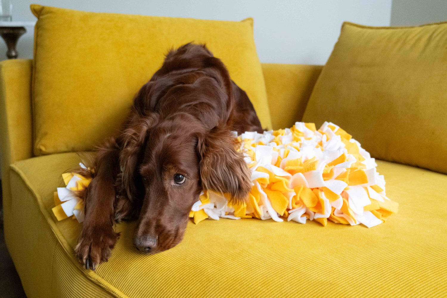 Sniffing Mat Light Woof supporting calm mealtime enrichment