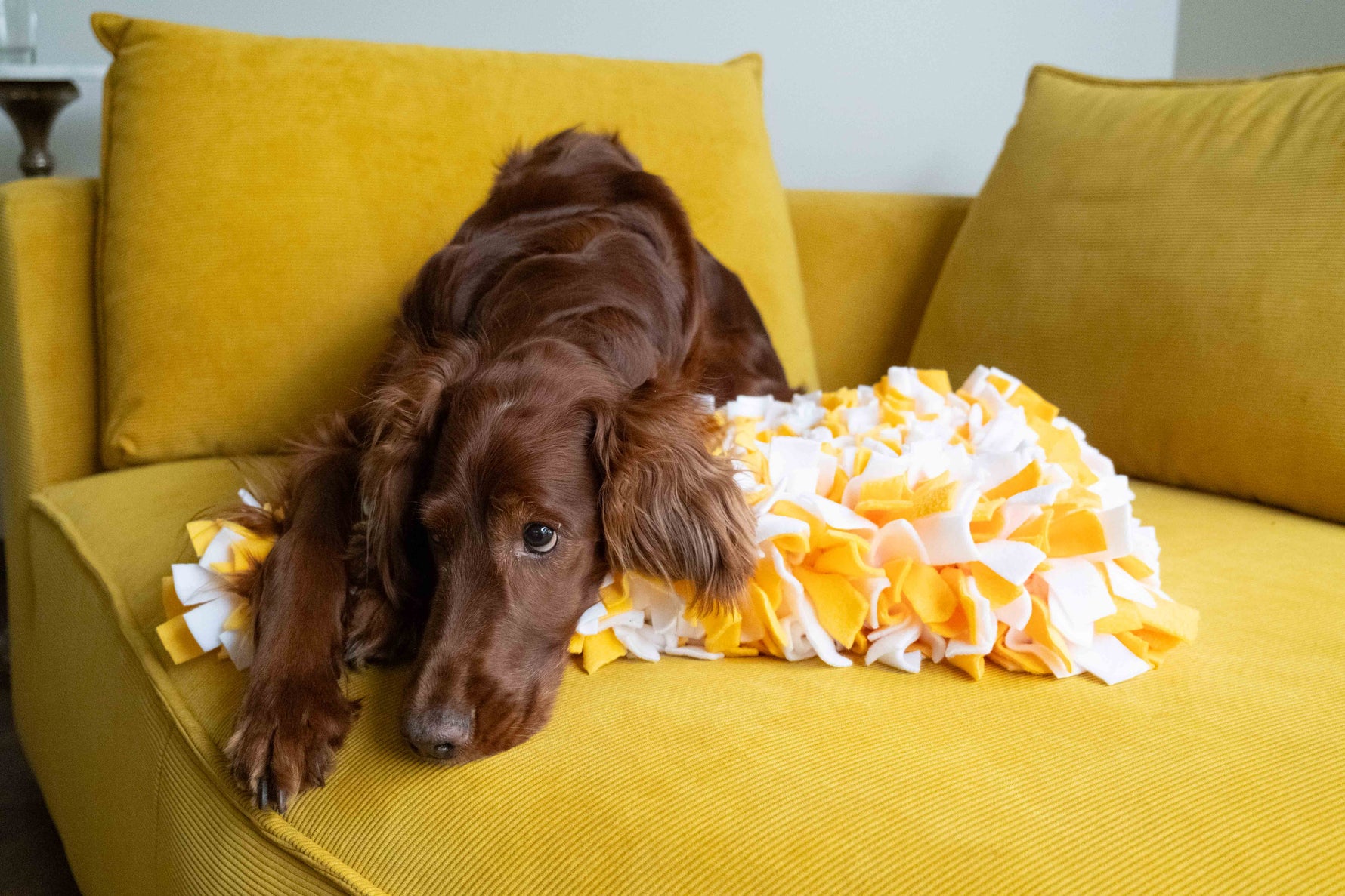 Sniffing Mat Light Woof supporting calm mealtime enrichment